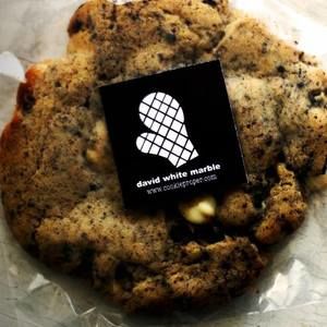 Meet your Posher, Lanny